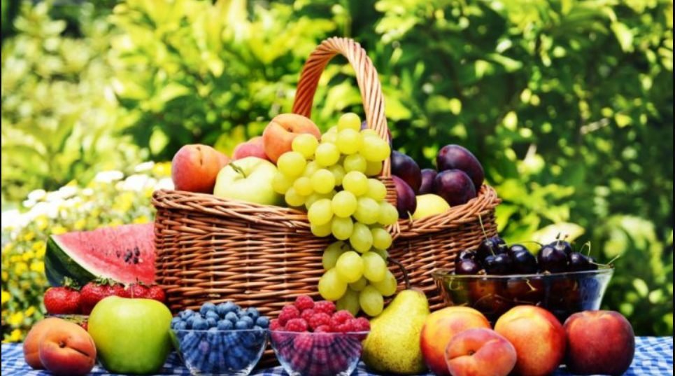 Producători de fructe din R. Moldova îşi promovează afacerile pe Freshplaza.com, platformă internaţională de referinţă în domeniu