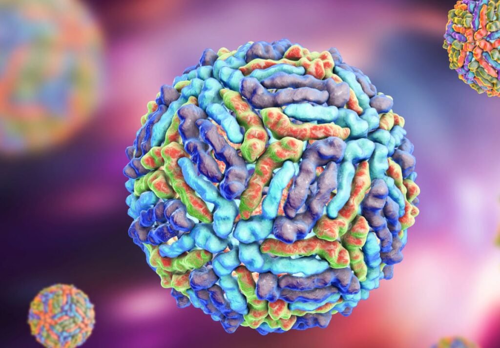 În Republica Moldova au mai fost înregistrate două cazuri de infecție cu virusul West Nile 1 În Republica Moldova au mai fost înregistrate două cazuri de infecție cu virusul West Nile