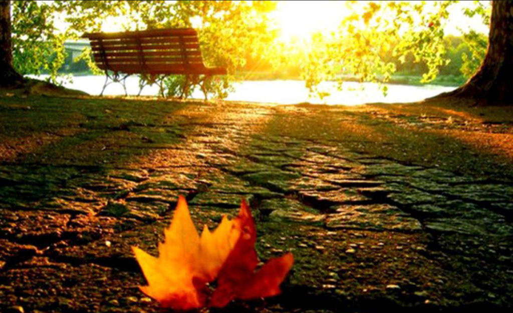 vreme calda fara ploi