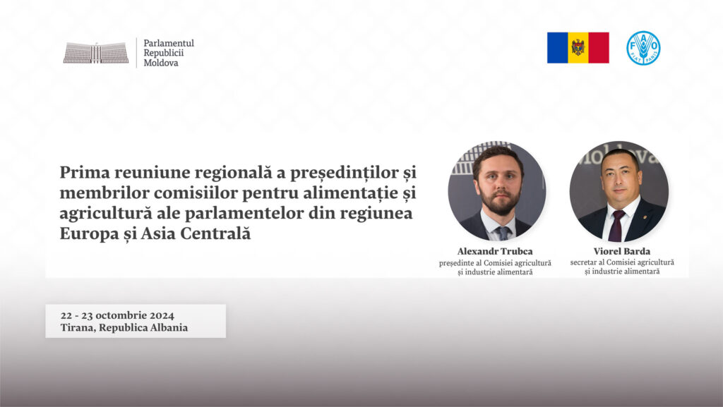 alexandr trubca si viorel barda
