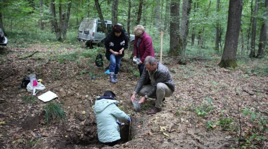 Silvicultorii au iniţiat cercetări pedologice în zona protejată a Rezervației „Codrii”, pentru a conserva şi ameliora biodiversitatea