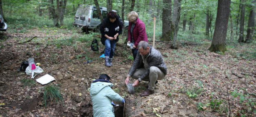 cercetari pedologice
