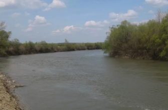 constructia podului peste prut