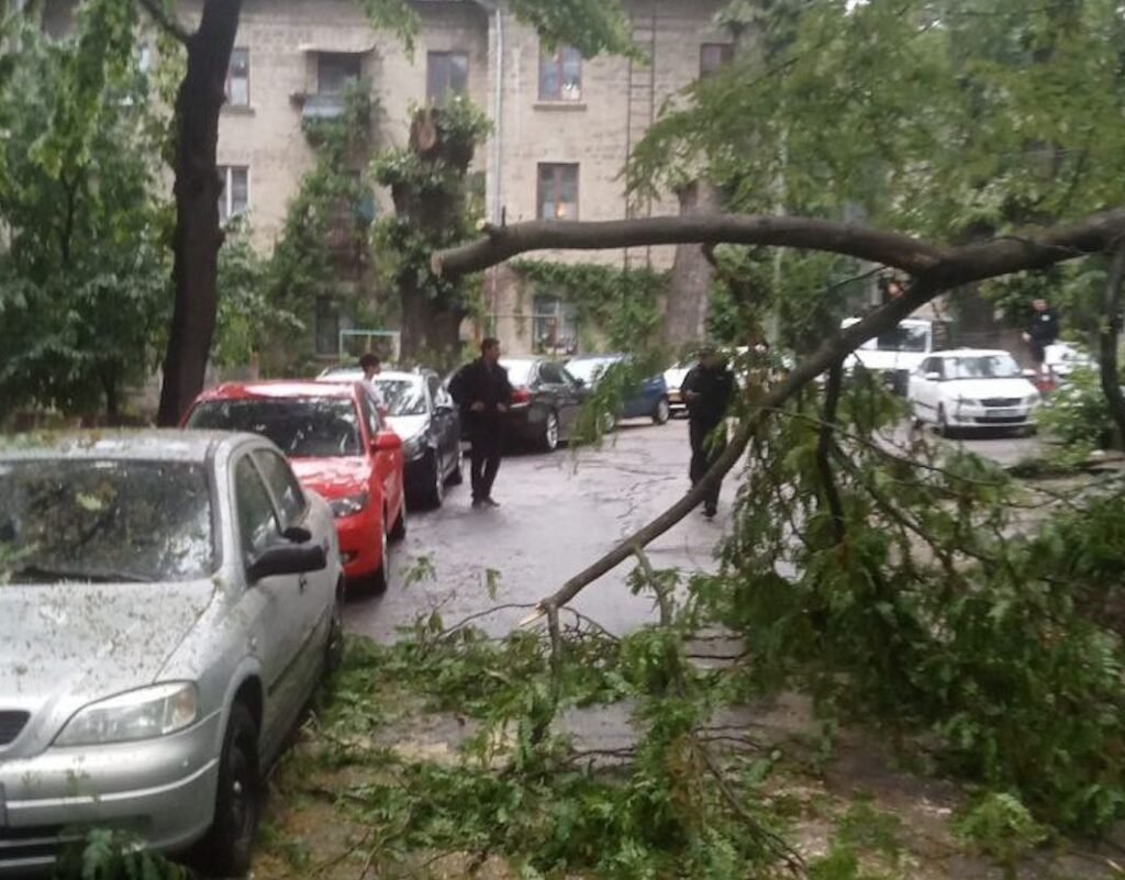 Poliția a atenționat cetățenii să evite deplasările. Există riscul ca în unele zone să cadă crengi sau arbori 1 Poliția a atenționat cetățenii să evite deplasările. Există riscul ca în unele zone să cadă crengi sau arbori