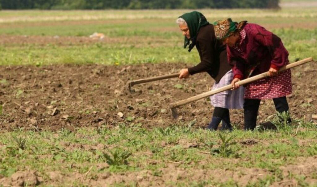 Ziua Internațională a Femeilor din Mediul Rural - În R. Moldova, femeile din sate reprezintă peste jumătate din populația activă 1 Ziua Internațională a Femeilor din Mediul Rural - În R. Moldova, femeile din sate reprezintă peste jumătate din populația activă
