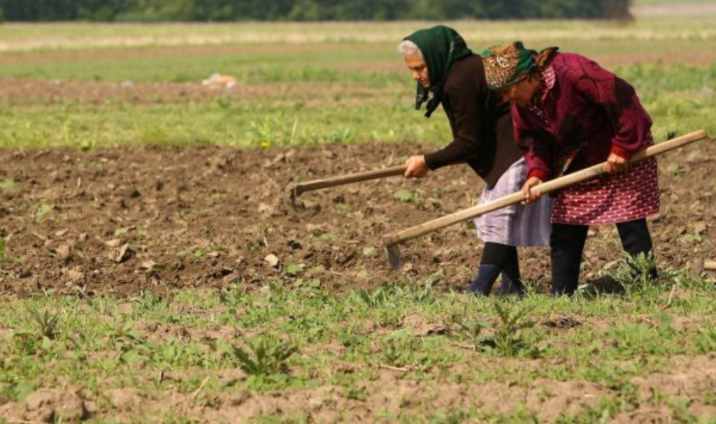 femeile din mediul rural