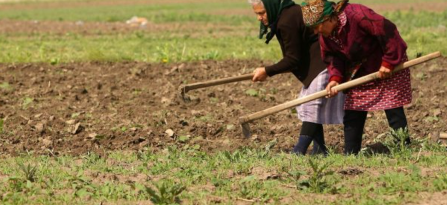 femeile din mediul rural