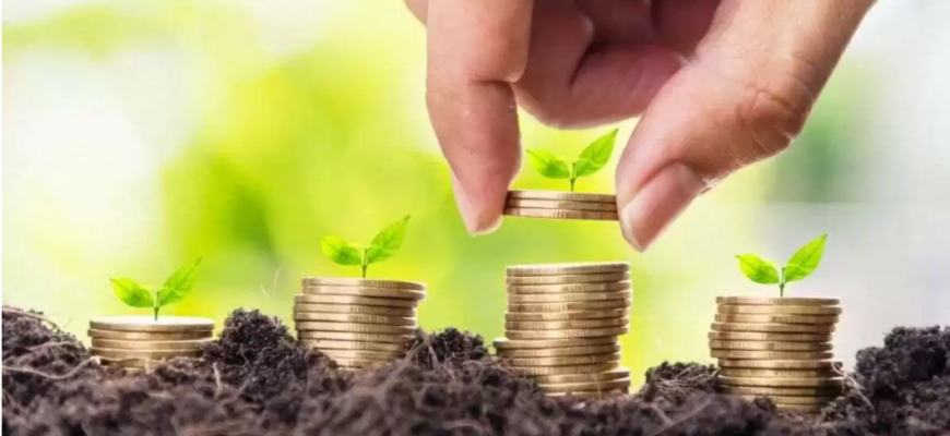 management financiar pentru fermieri