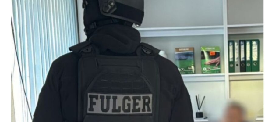 ofiterii directiei investigatii infractiuni economice