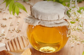 producatori de miere