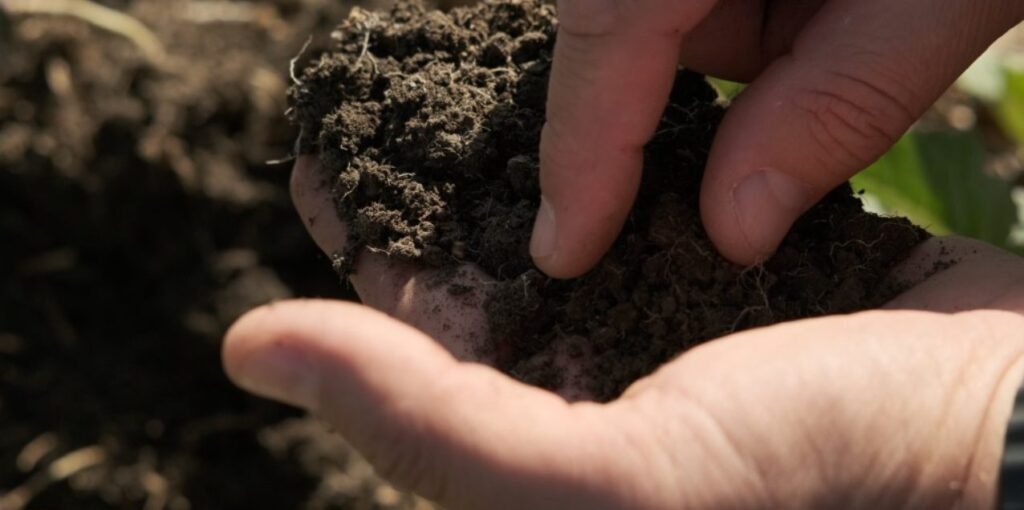 Utilizarea finanțărilor climatice pentru a restabili sănătatea solului: „Este cea mai inteligentă investiție pe care omenirea o va face vreodată” 1 Utilizarea finanțărilor climatice pentru a restabili sănătatea solului: „Este cea mai inteligentă investiție pe care omenirea o va face vreodată”