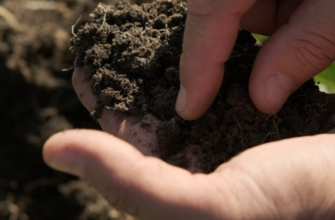 utilizarea finantarilor climatice