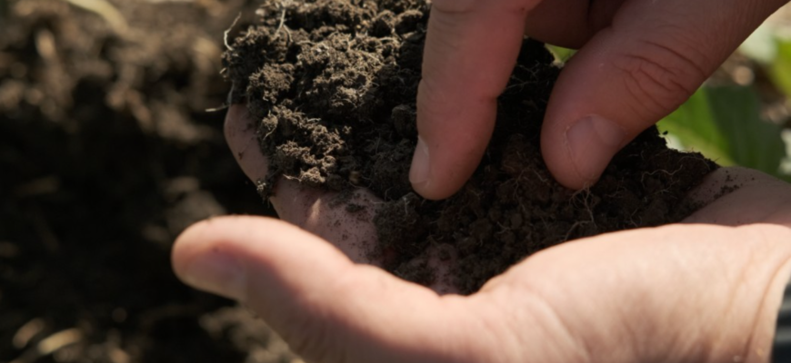 utilizarea finantarilor climatice