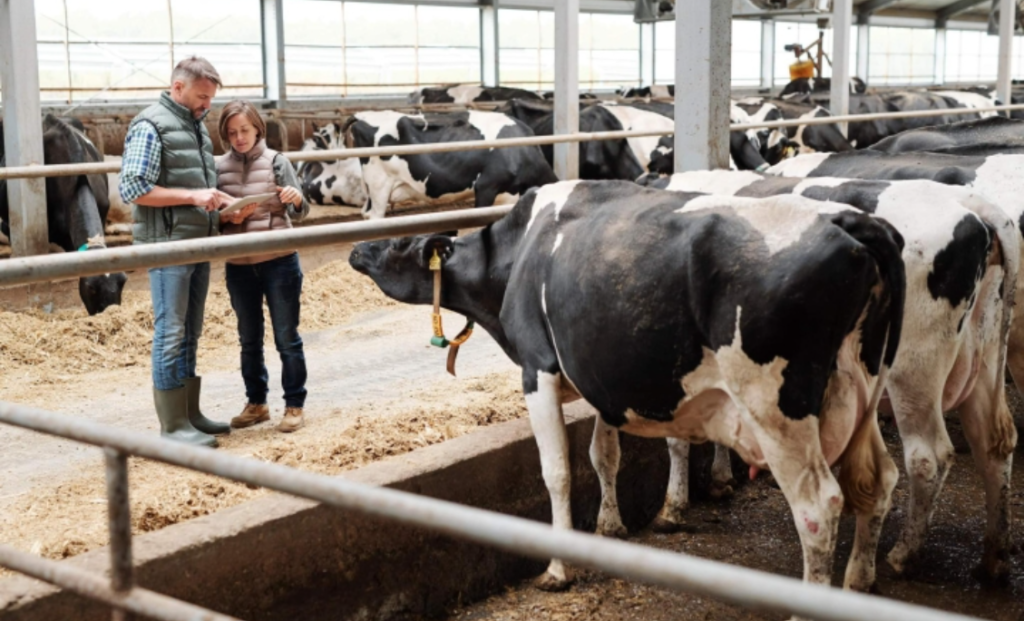 fabrica de procesare a subproduselor