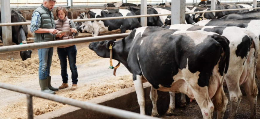 fabrica de procesare a subproduselor