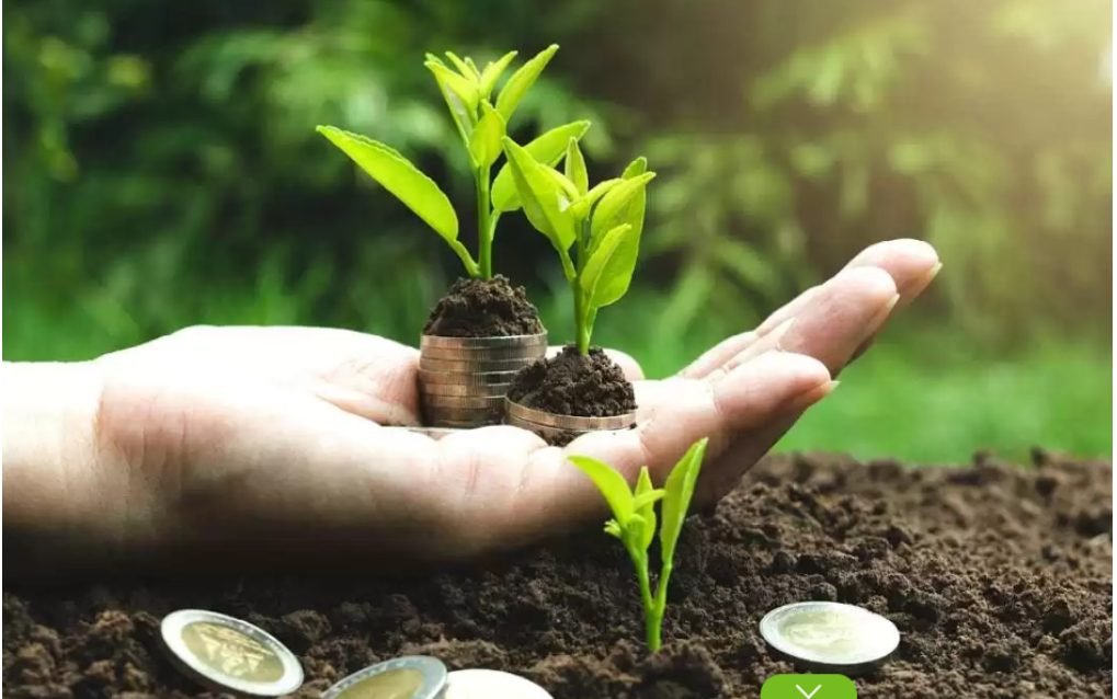 Întreprinderile agroalimentare pot accesa granturi europene de 20 mii de euro pentru echipamente noi