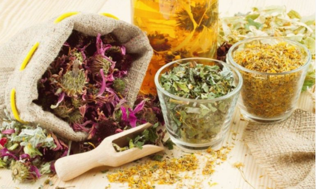 leacuri de viata lunga