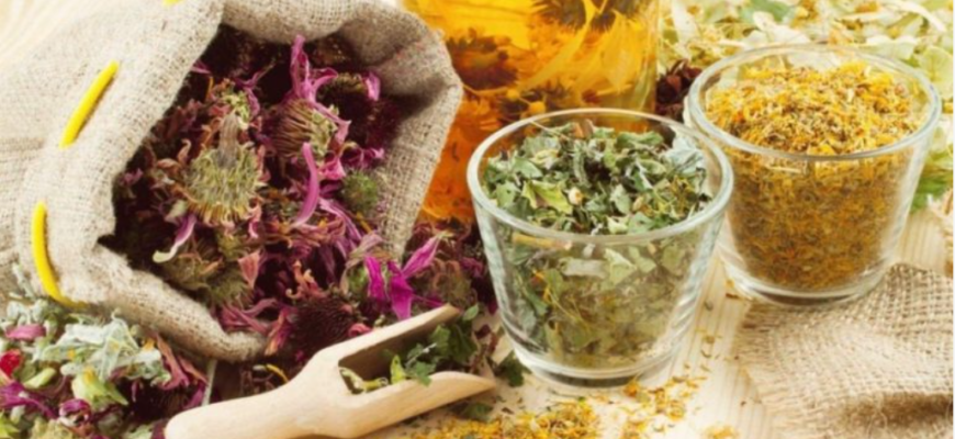 leacuri de viata lunga