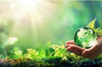 proiecte finantate din fondul national pentru mediu