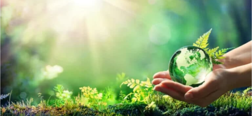 proiecte finantate din fondul national pentru mediu