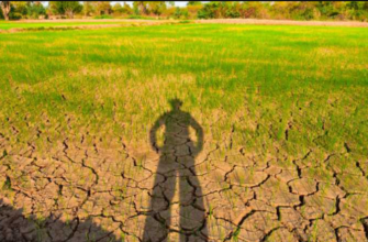 moratoriu fermierii afectati de seceta