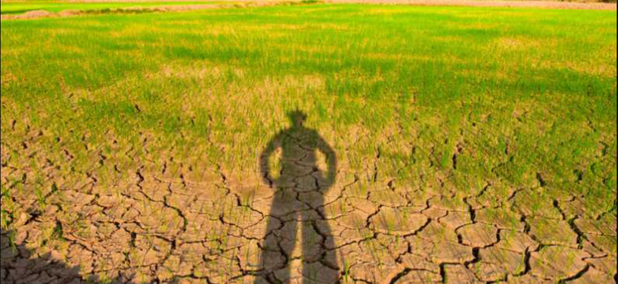 moratoriu fermierii afectati de seceta