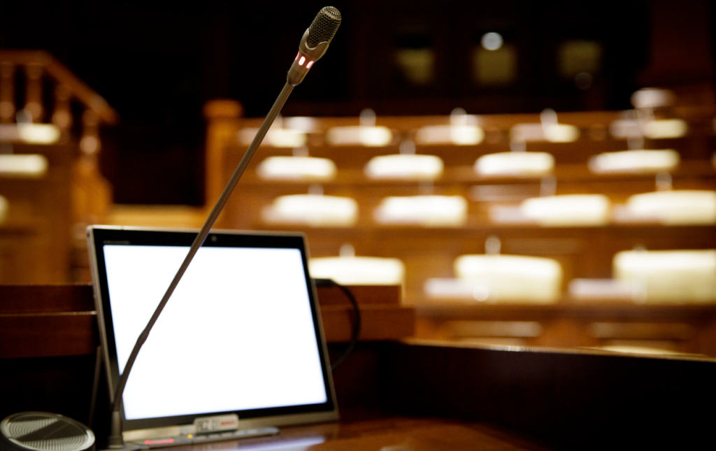 parlament si societatea civila