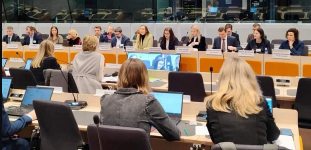 Liliana Vițu participă la cea de-a 8-a reuniune a Comitetului de Asociere Republica Moldova - Uniunea Europeană