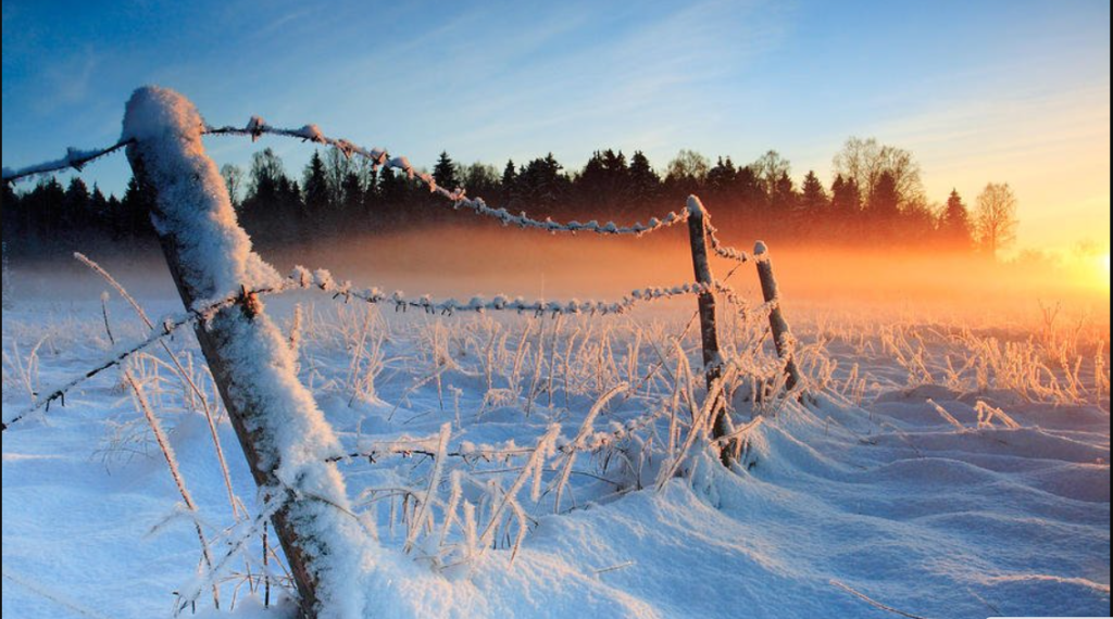 În Europa se preconizează o iarnă extrem de rece, iar resursele de energie verde vor fi limitate 1 iarna rece