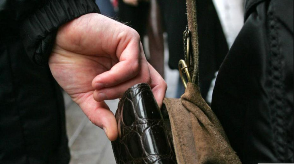 pungasii in transportul