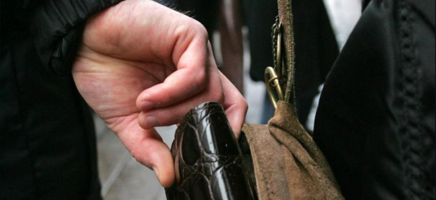 pungasii in transportul