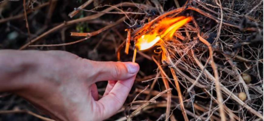 incendierea vegetatiei