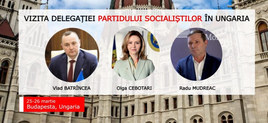 img 20250325 115700 946 2048x1102 1