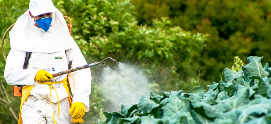 izobrazhenie viber 2025 03 24 15 58 09 389