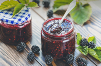 dulceata sau gem fara zahar