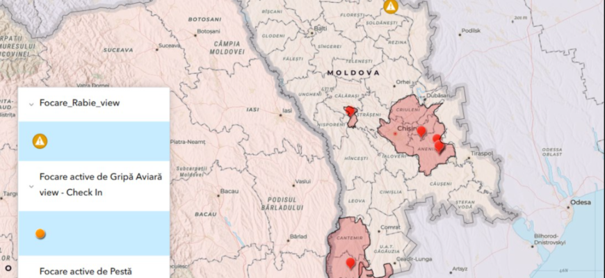 focare de pesta porcina