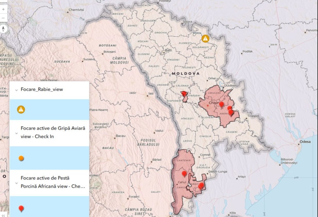 Pe teritoriul Republicii Moldova au fost înregistrate două focare noi de Pestă porcină africană