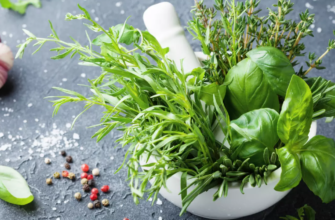 ierburi aromaticecondimente