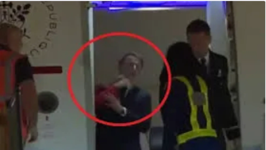 brigitte macron l a palmuit pe presedintele francez