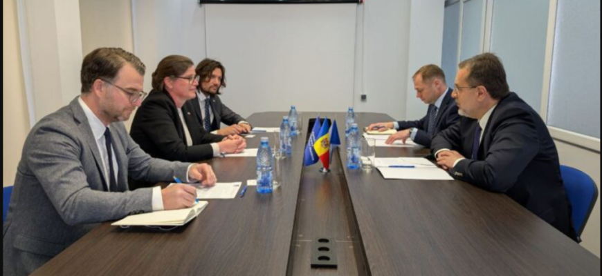 marian lupu catre ambasadorul suediei