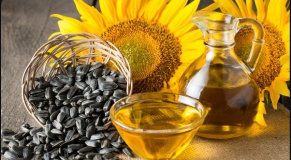 Producerea de ulei a fost afectată sever în 2024 de lipsa materiei prime
