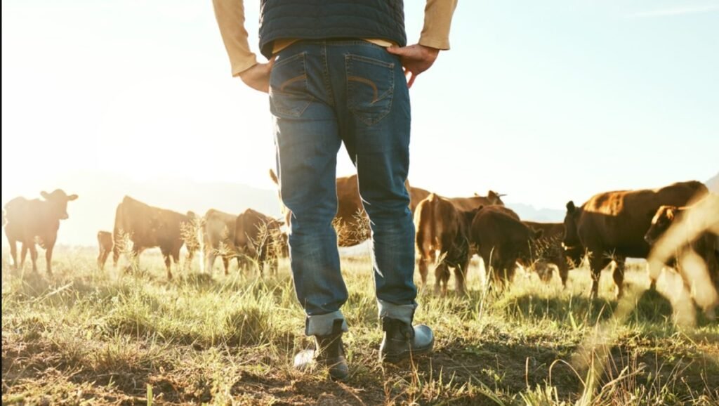 Moldova – faliment agricol cu pașaport european