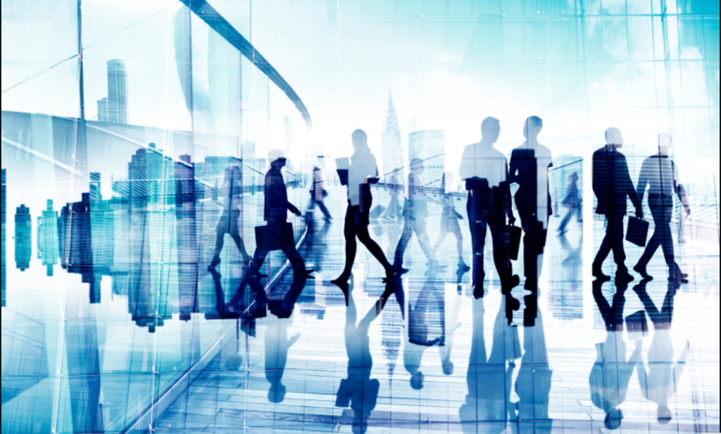 soc pe piata fortei de munca