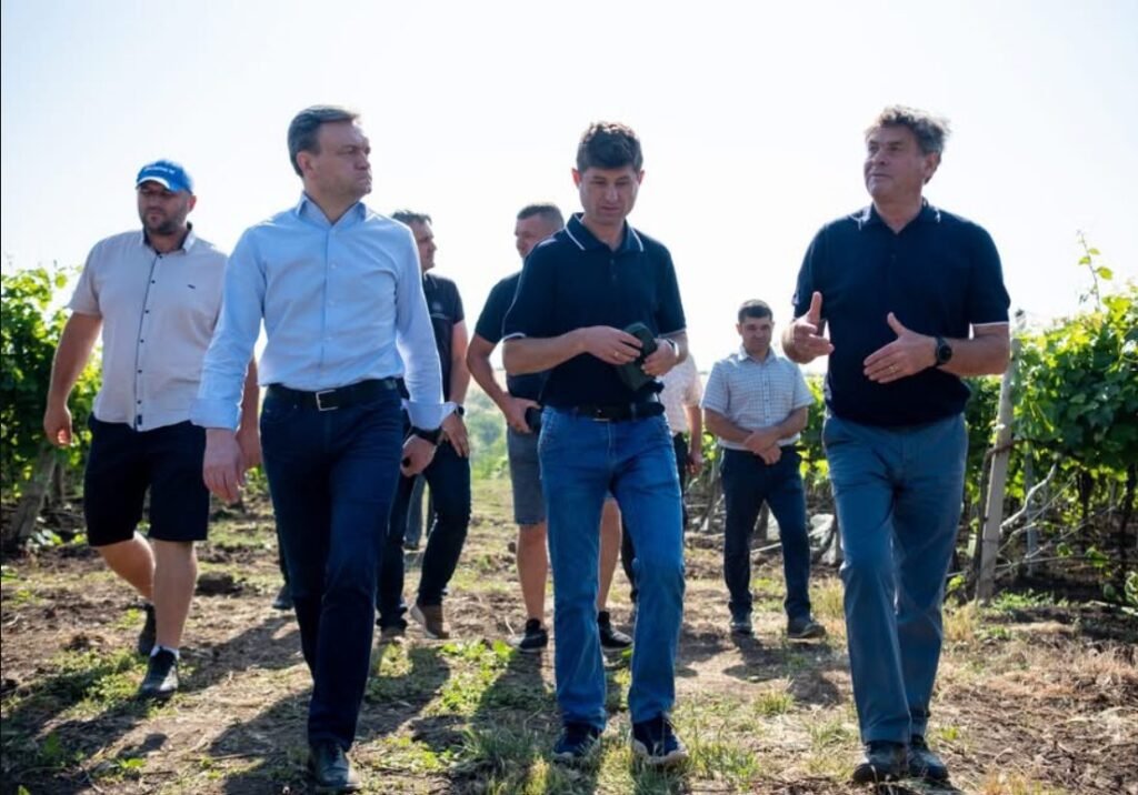 Dorin Recean a vizitat plantațiile familiei Mihov,  care crește cele mai mari exemplare de struguri de masă din țară