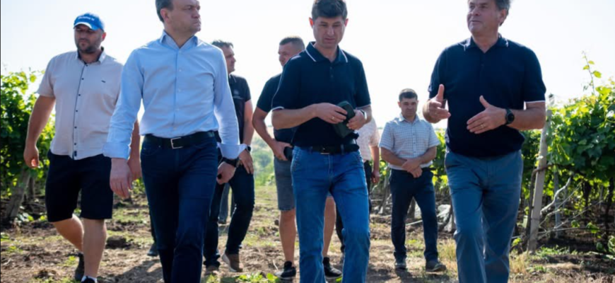 a vizitat plantatiile