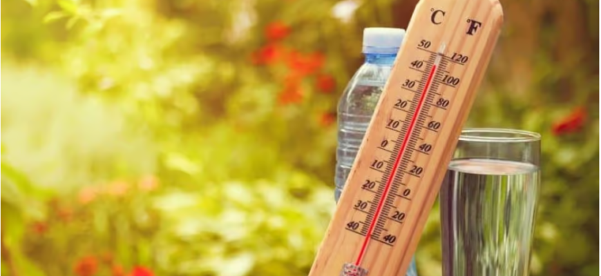 cod galben de canicula