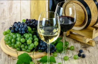 congres al organizatiei internationale a viei si vinului