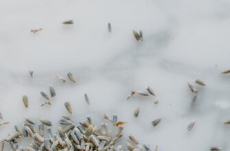 relaxation marble peppermint spa