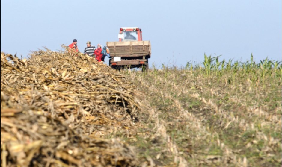 Catastrofă agricolă în raionul Ștefan Vodă - Alexandru Slusari cere intervenție urgentă a autorităților