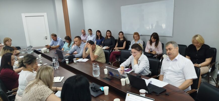 consultarile publice